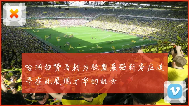 哈珀称赞马刺为联盟最强新秀应追寻在此展现才华的机会